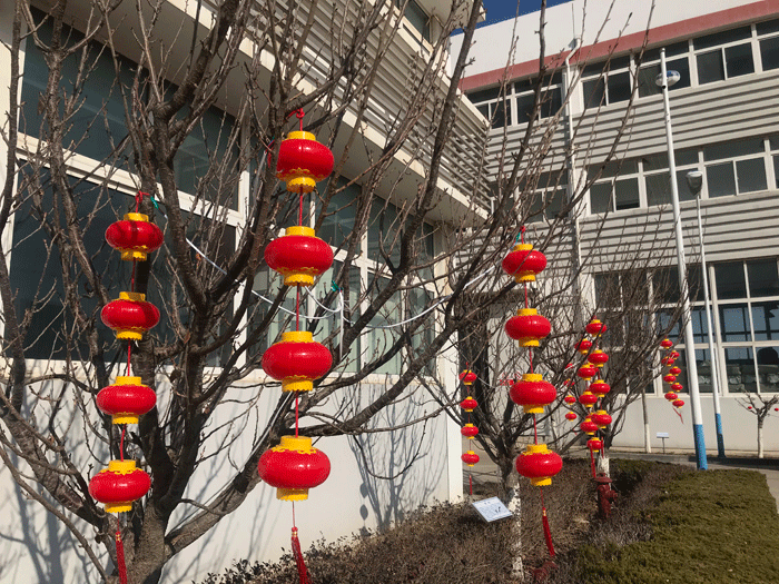 烟台时搏网页版化工恭祝大家2021牛年行大运